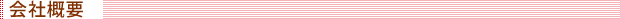 ЊTv
